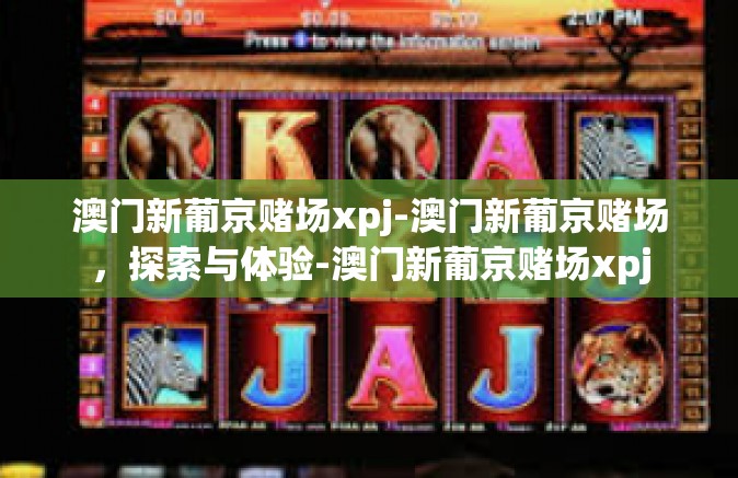 澳门新葡京赌场xpj-澳门新葡京赌场，探索与体验-澳门新葡京赌场xpj
