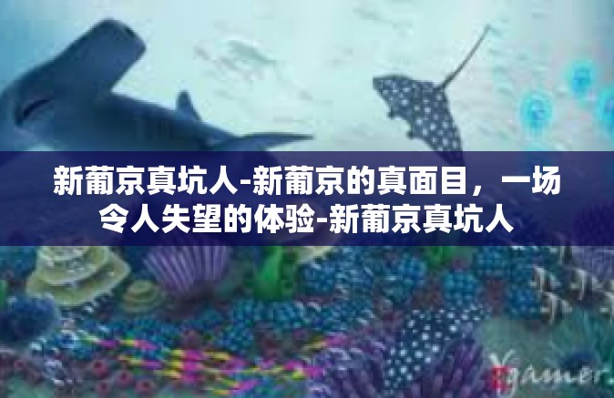 新葡京真坑人-新葡京的真面目，一场令人失望的体验-新葡京真坑人