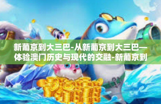 新葡京到大三巴-从新葡京到大三巴—体验澳门历史与现代的交融-新葡京到大三巴