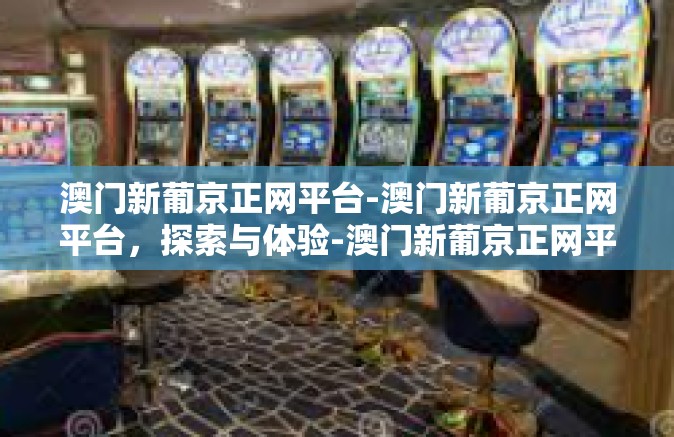 澳门新葡京正网平台-澳门新葡京正网平台，探索与体验-澳门新葡京正网平台