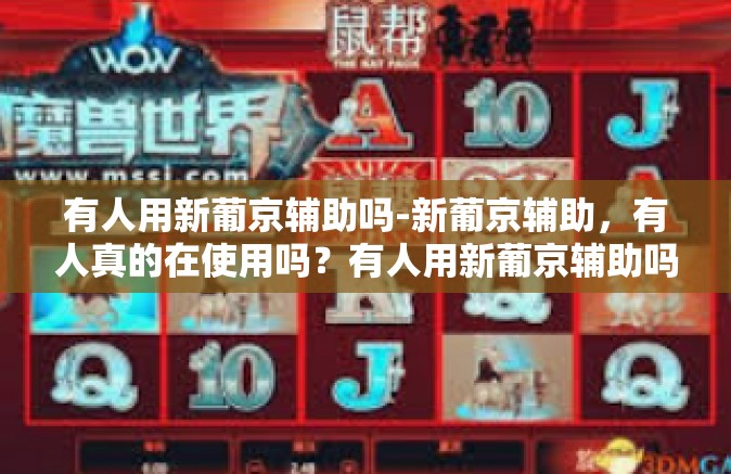 有人用新葡京辅助吗-新葡京辅助，有人真的在使用吗？有人用新葡京辅助吗
