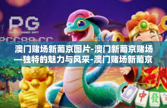 澳门赌场新葡京图片-澳门新葡京赌场—独特的魅力与风采-澳门赌场新葡京图片