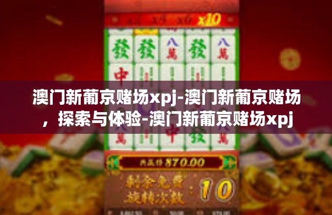 澳门新葡京赌场xpj-澳门新葡京赌场，探索与体验-澳门新葡京赌场xpj