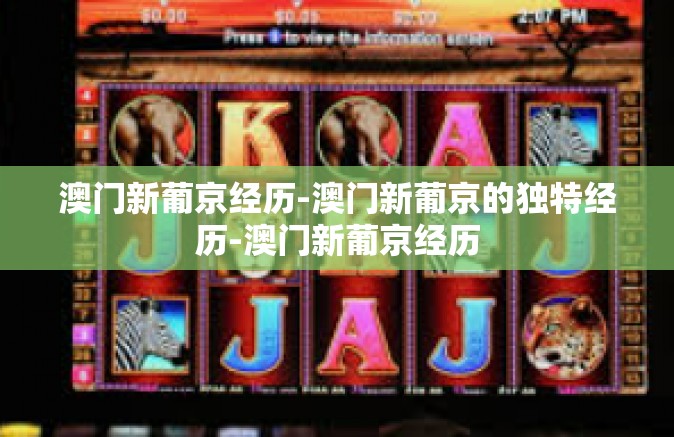 澳门新葡京经历-澳门新葡京的独特经历-澳门新葡京经历