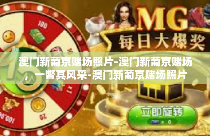 澳门新葡京赌场照片-澳门新葡京赌场，一瞥其风采-澳门新葡京赌场照片