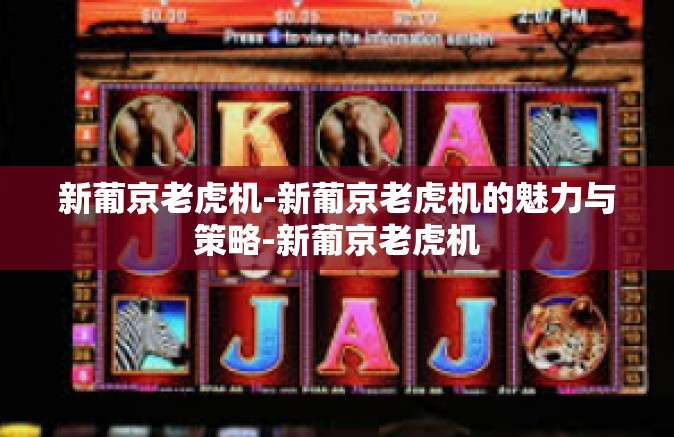 新葡京老虎机-新葡京老虎机的魅力与策略-新葡京老虎机