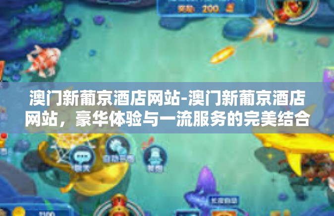 澳门新葡京酒店网站-澳门新葡京酒店网站，豪华体验与一流服务的完美结合-澳门新葡京酒店网站