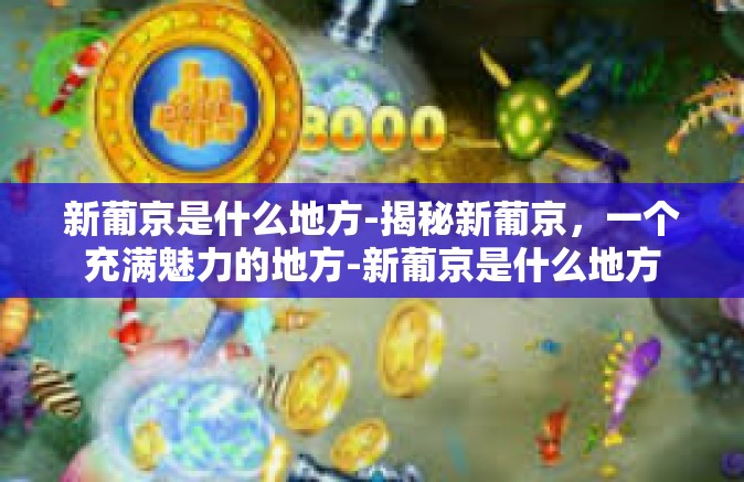 新葡京是什么地方-揭秘新葡京，一个充满魅力的地方-新葡京是什么地方