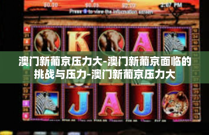 澳门新葡京压力大-澳门新葡京面临的挑战与压力-澳门新葡京压力大