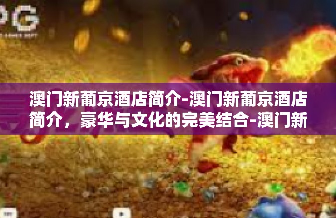 澳门新葡京酒店简介-澳门新葡京酒店简介，豪华与文化的完美结合-澳门新葡京酒店简介