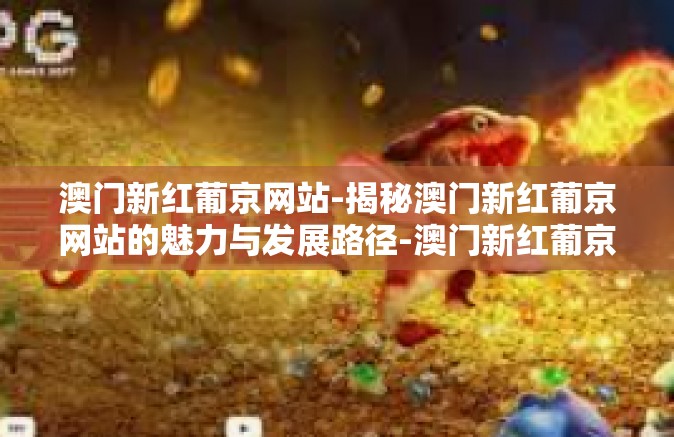 澳门新红葡京网站-揭秘澳门新红葡京网站的魅力与发展路径-澳门新红葡京网站