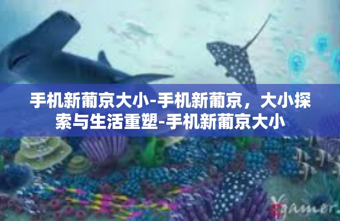 手机新葡京大小-手机新葡京，大小探索与生活重塑-手机新葡京大小