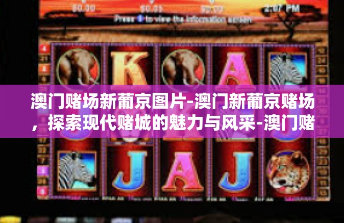 澳门赌场新葡京图片-澳门新葡京赌场，探索现代赌城的魅力与风采-澳门赌场新葡京图片
