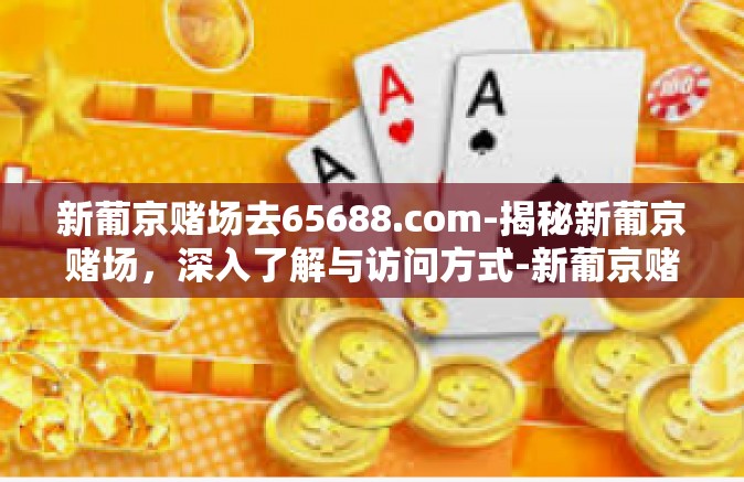 新葡京赌场去65688.com-揭秘新葡京赌场，深入了解与访问方式-新葡京赌场去65688.com