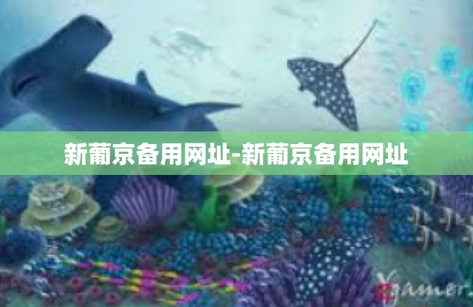 新葡京备用网址-新葡京备用网址