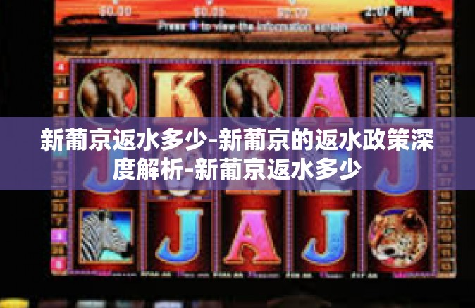 新葡京返水多少-新葡京的返水政策深度解析-新葡京返水多少