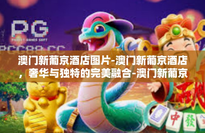 澳门新葡京酒店图片-澳门新葡京酒店,奢华与独特的完美融合-澳门新葡京酒店图片 澳门新葡京酒店图片-澳门新葡京酒店,奢华与独特的完美融合-澳门新葡京酒店图片