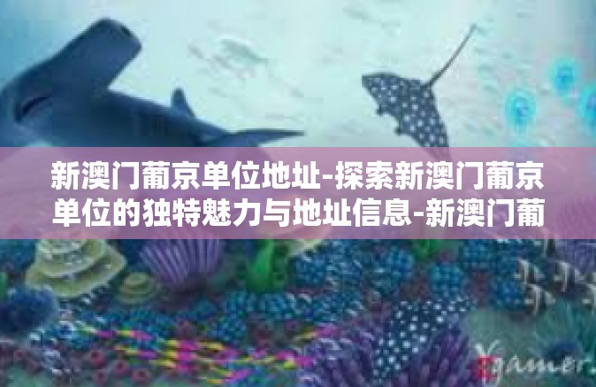新澳门葡京单位地址-探索新澳门葡京单位的独特魅力与地址信息-新澳门葡京单位地址