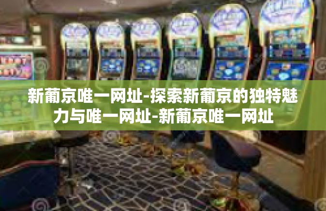 新葡京唯一网址-探索新葡京的独特魅力与唯一网址-新葡京唯一网址