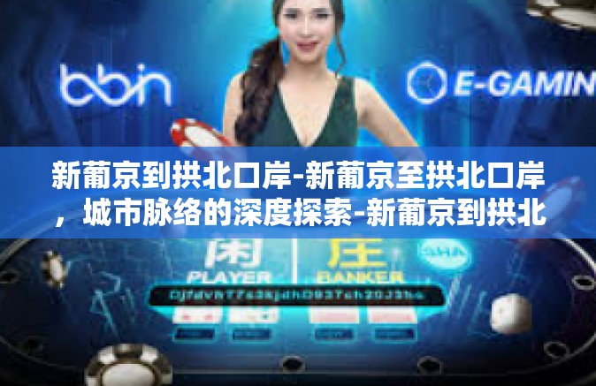 新葡京到拱北口岸-新葡京至拱北口岸，城市脉络的深度探索-新葡京到拱北口岸