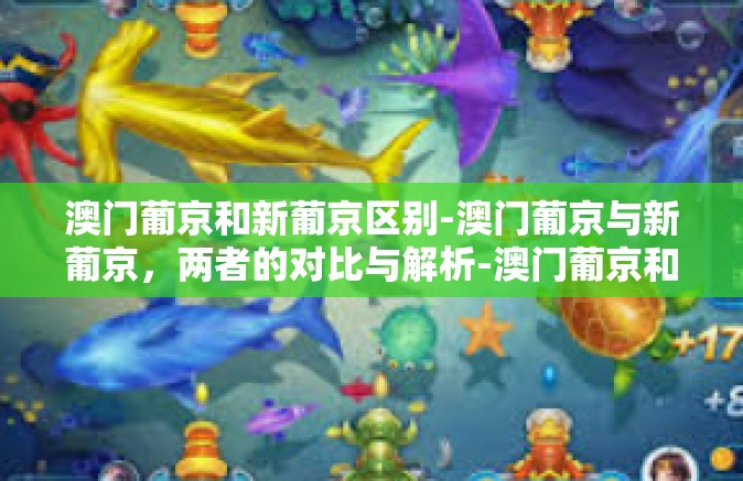 澳门葡京和新葡京区别-澳门葡京与新葡京，两者的对比与解析-澳门葡京和新葡京区别