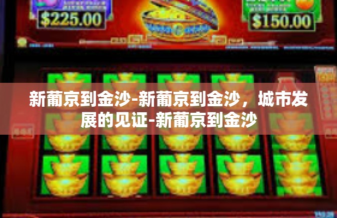 新葡京到金沙-新葡京到金沙，城市发展的见证-新葡京到金沙